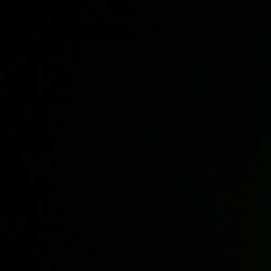 Meet your Posher, Donyale